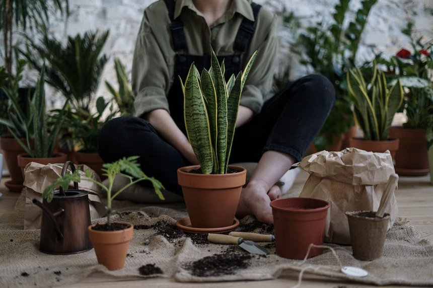 Image of person sitting with multiple pots and plants.